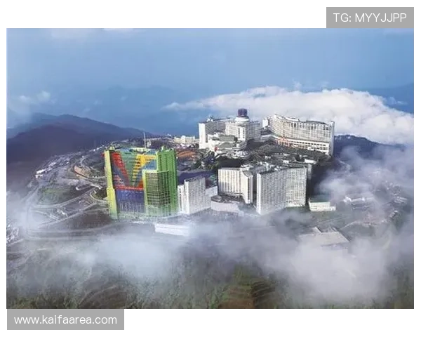 深入了解马来西亚云顶有限公司的主要业务范围与市场布局